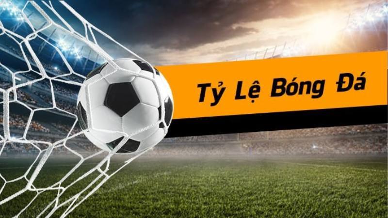 Cách đọc bảng kèo dành cho cược thủ