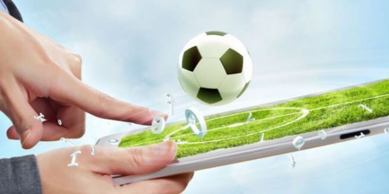 Tìm hiểu trận đấu là bước quan trọng khi tham gia